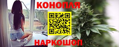 гашик Донской