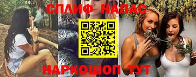 гашик Донской
