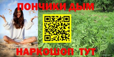гашик Донской