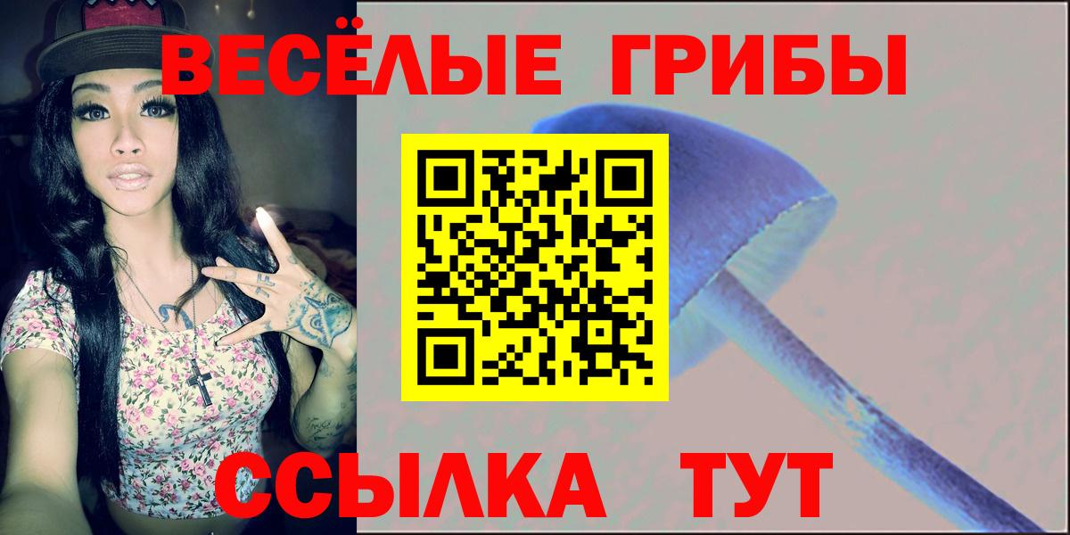 Галлюциногенные грибы MAGIC MUSHROOMS  Вход с VPN  Димитровград 